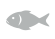 Pesce